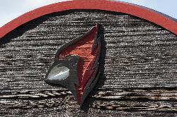 Strangemore PHOTO 4352