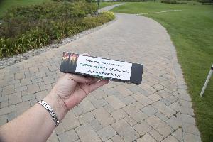 Strangemore PHOTO 6013