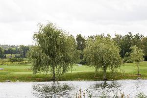 Strangemore PHOTO 6107