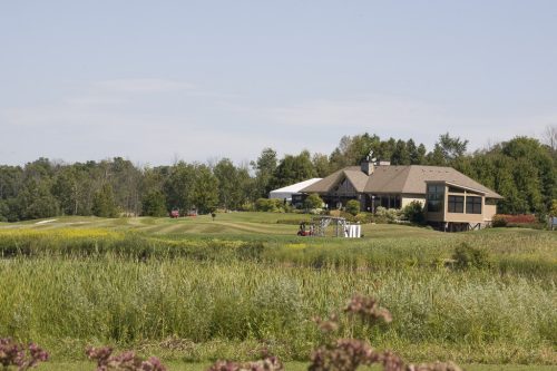 Strangemore PHOTO 6016