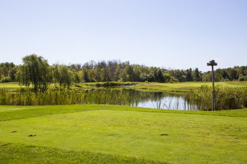 Strangemore PHOTO 6064