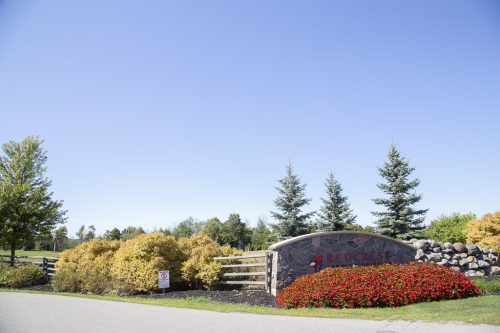 Strangemore PHOTO 6184