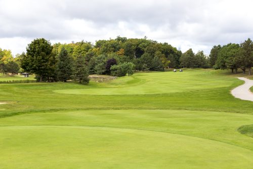 Strangemore PHOTO 3146