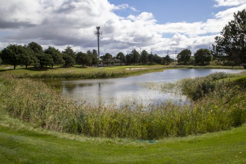 Strangemore PHOTO 3225