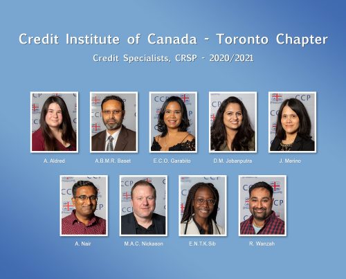 Credit Specialist Composite LR